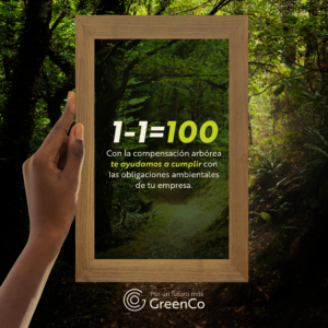 GreenCo: Innovación en sostenibilidad y conservación ambiental