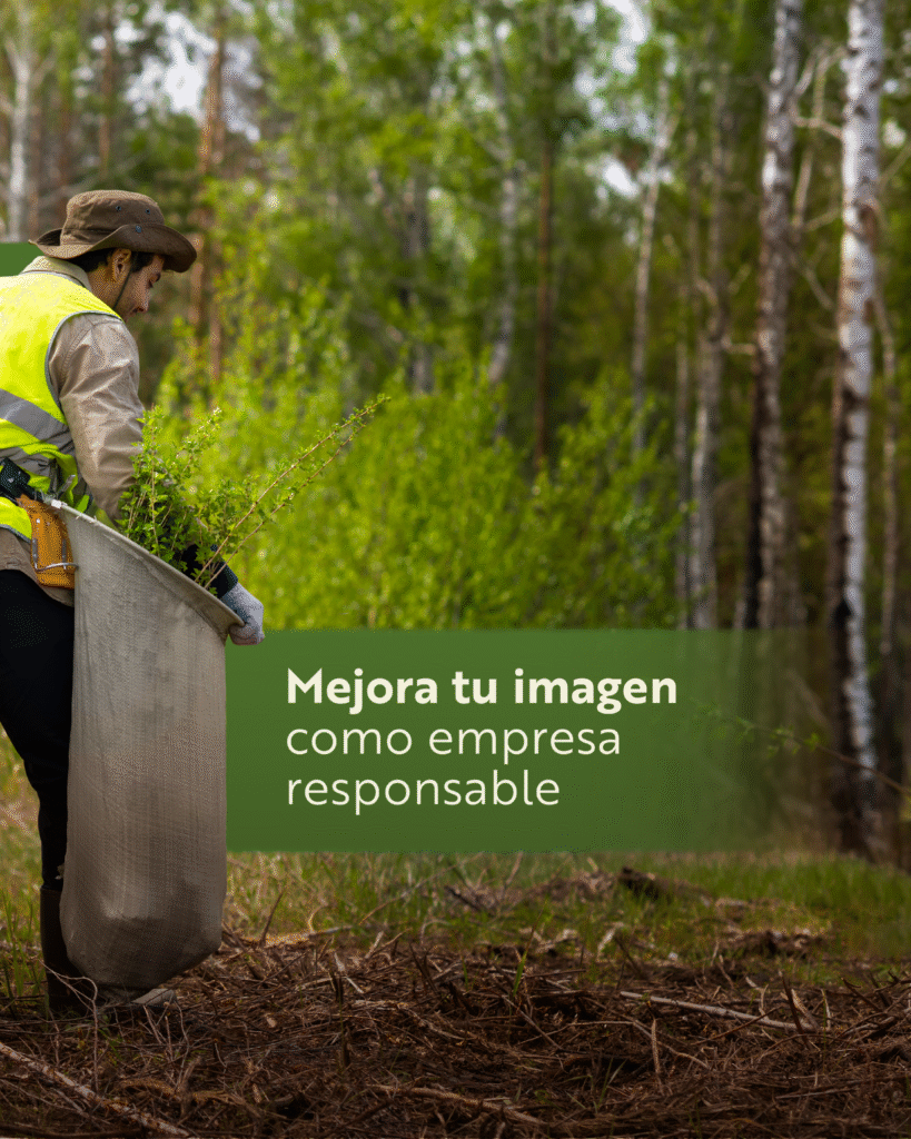 Qgreenco_CRR6 (3)